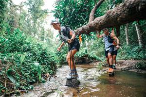 BIB: 
                            <button type="button" onclick="openModal(25368576)" class="btn btn-primary btn-sm float-right btn-popup" data-toggle="modal" data-target=".modal-high-quality">
                        <i class="fas fa-shopping-cart"></i> Add to Cart
                    </button>
                                            <button type="button" onclick="isThisMe(25368576, true)" class="btn btn-success btn-sm float-right btn-popup btn-isme hidden" data-toggle="tooltip" data-placement="bottom" title="นี่คือรูปของคุณใช่ไหม คลิกที่นี่เพื่อเอาเข้าอัลบั้ม">
                        <i class="fas fa-plus"></i> Add to album
                    </button>
                    <button type="button" onclick="isThisMe(25368576, false)" class="btn btn-warning btn-sm float-right btn-popup btn-isnotme hidden">
                        <i class="fas fa-ban"></i> Remove from album
                    </button>